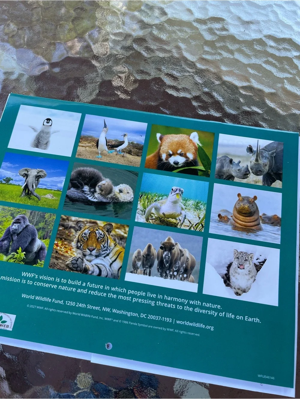 2027 Wildlife Critters Wall Calendar with 2026 Q4 page